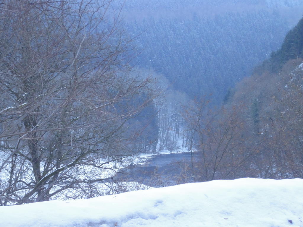 Gite Des Evets La-Roche-en-Ardenne Dış mekan fotoğraf