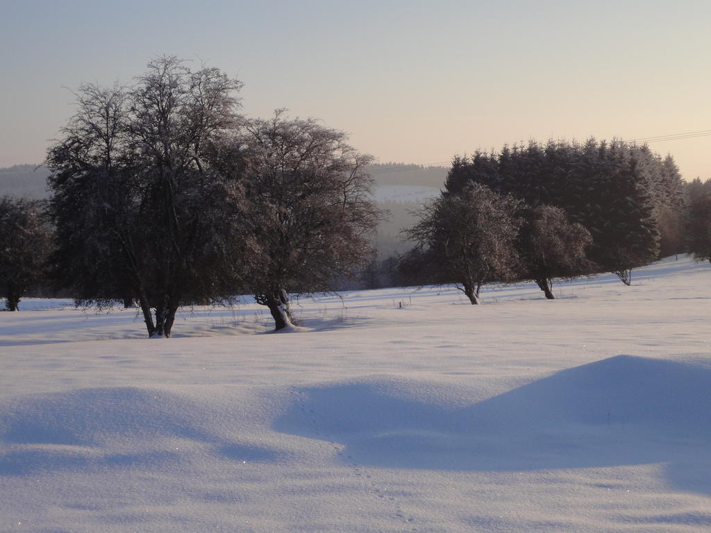 Gite Des Evets La-Roche-en-Ardenne Dış mekan fotoğraf